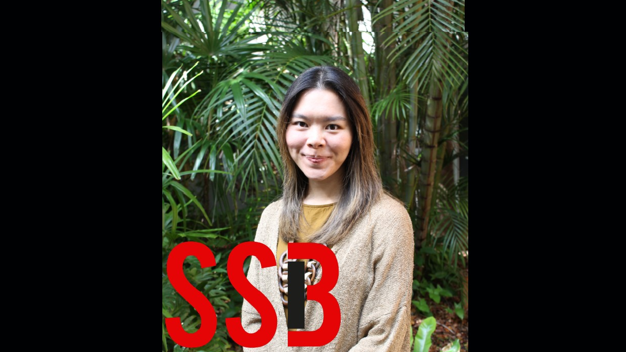 Crystal Abidin on Influencers