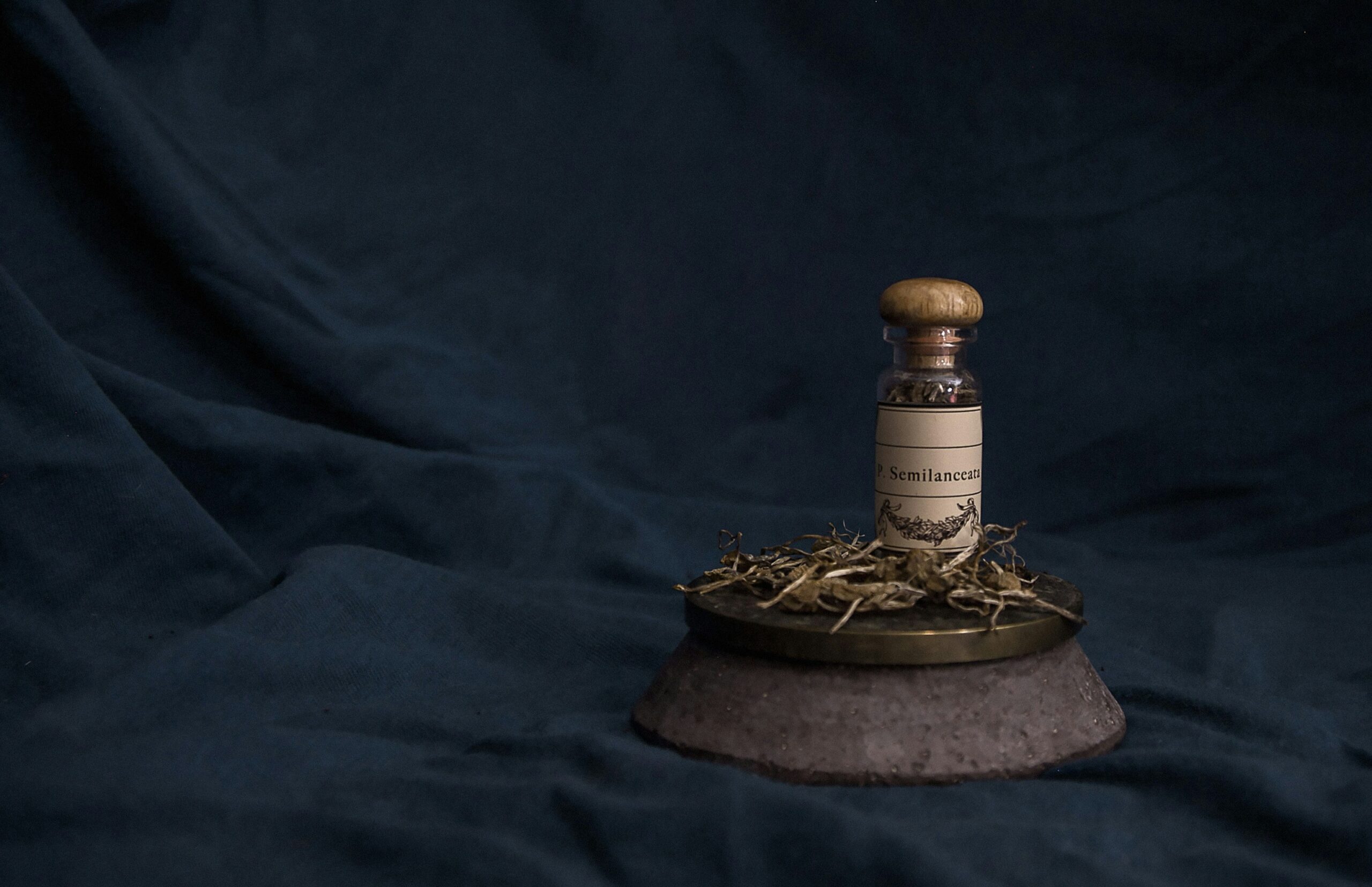 Bottle of herbs pictured in front of a dark blue backdrop.